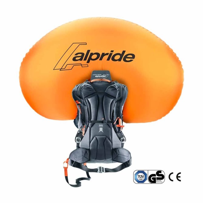 Castaño-negro Deuter Alproof 32