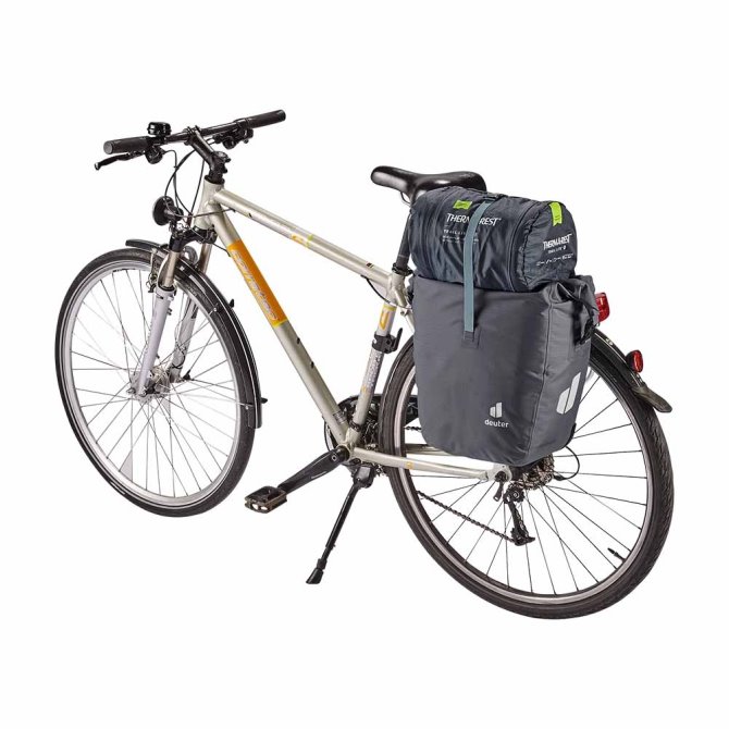 Weybridge 20+5 Helecho/grafito/cítricos Deuter