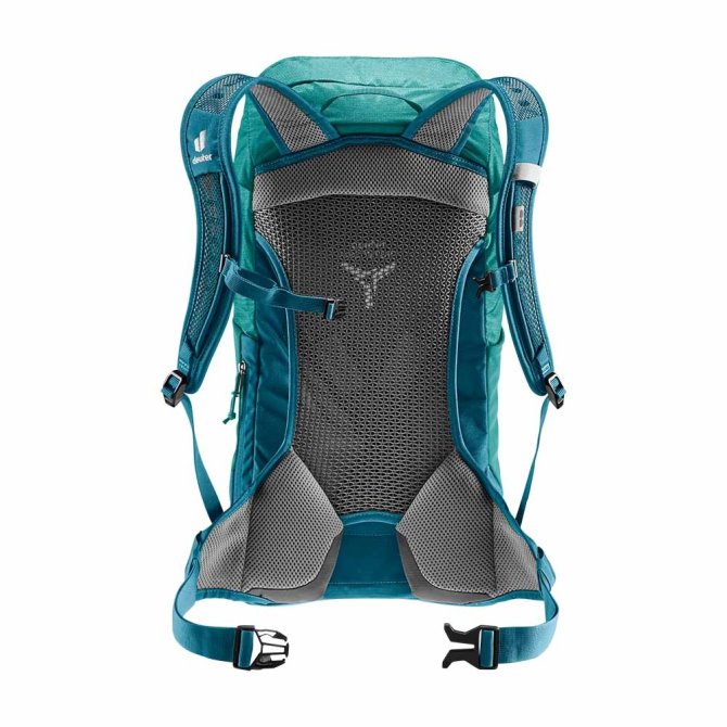 Deuter Black-graphite/alpinegreen-arctic Ac Lite 16